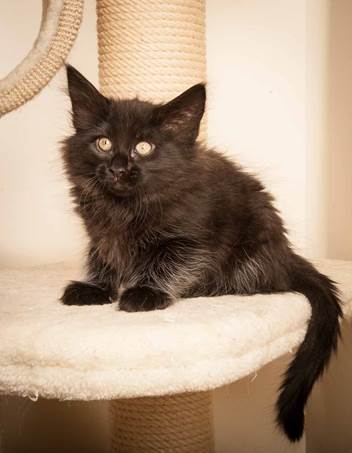 20130307_T-kull_10_weeks_0011