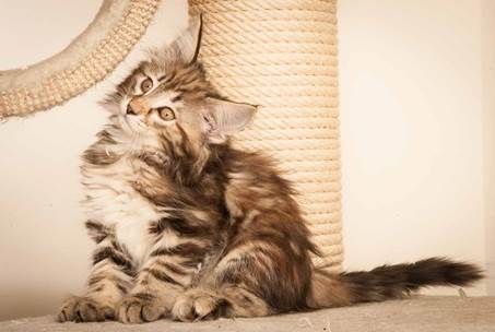 20130307_T-kull_10_weeks_0014