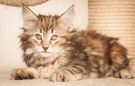 20130307_T-kull_10_weeks_0022