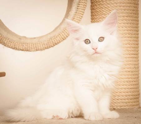 20130307_T-kull_10_weeks_0034