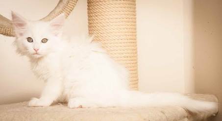 20130307_T-kull_10_weeks_0028