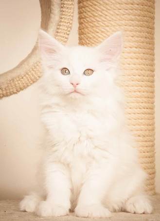 20130307_T-kull_10_weeks_0026