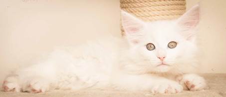 20130307_T-kull_10_weeks_0039