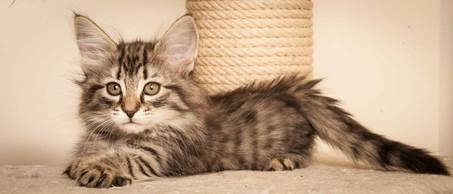 20130307_T-kull_10_weeks_0046