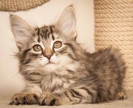 20130307_T-kull_10_weeks_0044