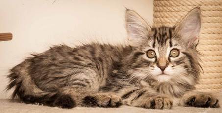 20130307_T-kull_10_weeks_0052