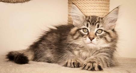 20130307_T-kull_10_weeks_0058