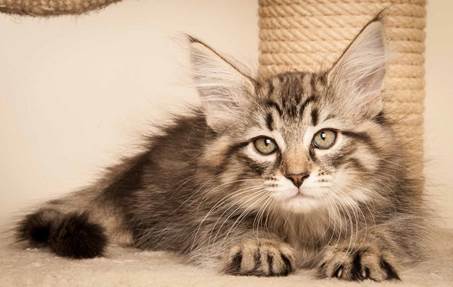 20130307_T-kull_10_weeks_0057