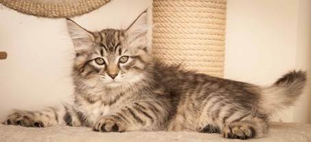 20130307_T-kull_10_weeks_0061