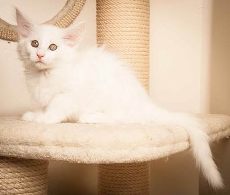 20130307_T-kull_10_weeks_0072