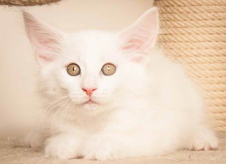 20130307_T-kull_10_weeks_0070