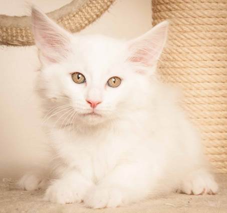 20130307_T-kull_10_weeks_0067