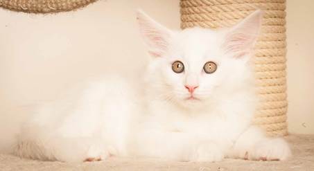 20130307_T-kull_10_weeks_0074