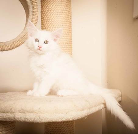 20130307_T-kull_10_weeks_0082