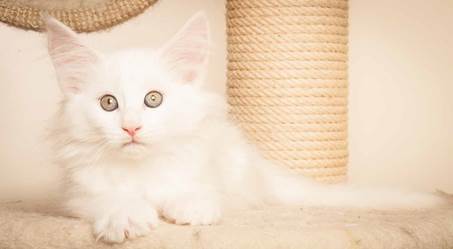 20130307_T-kull_10_weeks_0095