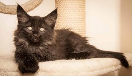 20130307_T-kull_10_weeks_0106