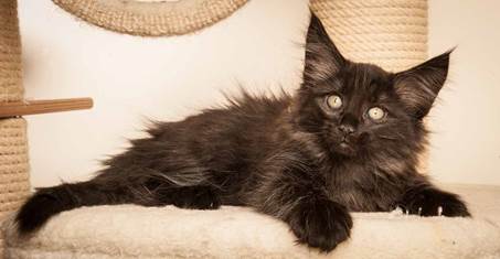 20130307_T-kull_10_weeks_0101