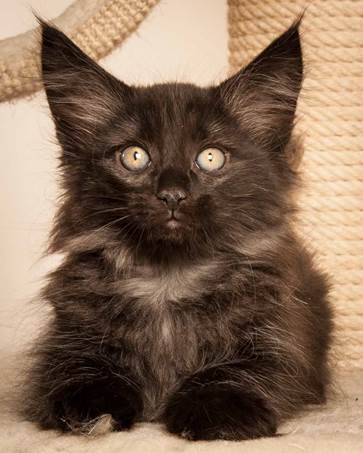 20130307_T-kull_10_weeks_0098