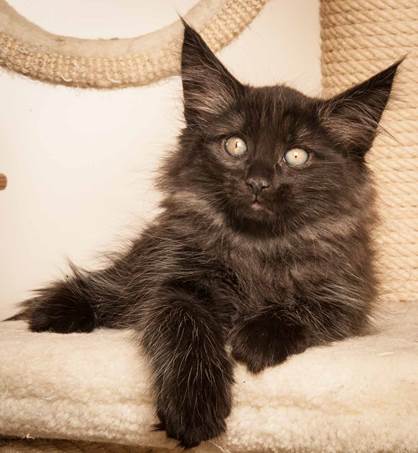 20130307_T-kull_10_weeks_0111