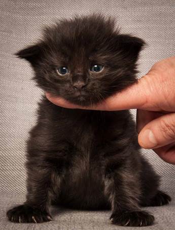 20130117_T-kull_3_weeks_0005