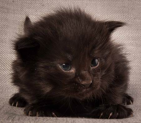 20130117_T-kull_3_weeks_0004