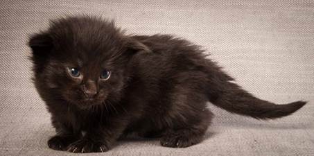 20130117_T-kull_3_weeks_0009