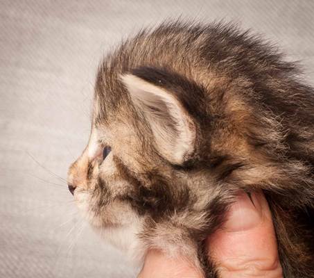 20130117_T-kull_3_weeks_0018