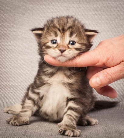 20130117_T-kull_3_weeks_0013