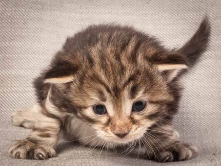 20130117_T-kull_3_weeks_0011