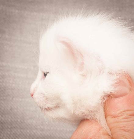 20130117_T-kull_3_weeks_0033