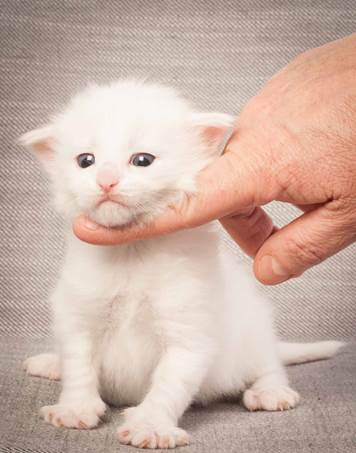 20130117_T-kull_3_weeks_0028