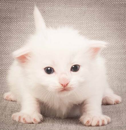 20130117_T-kull_3_weeks_0025