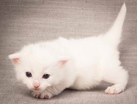 20130117_T-kull_3_weeks_0039