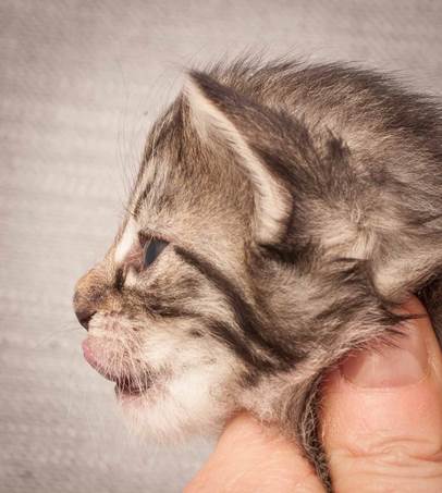 20130117_T-kull_3_weeks_0050