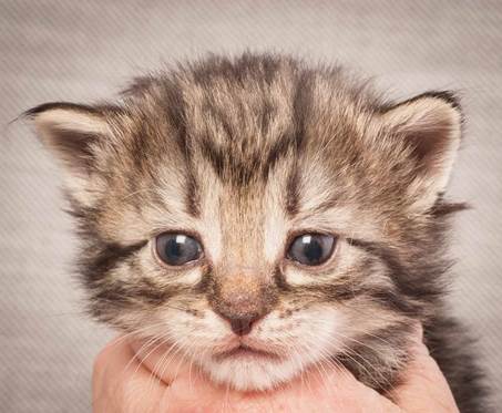 20130117_T-kull_3_weeks_0047