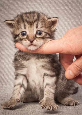 20130117_T-kull_3_weeks_0045