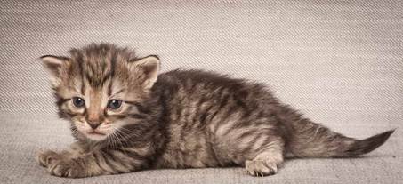 20130117_T-kull_3_weeks_0052