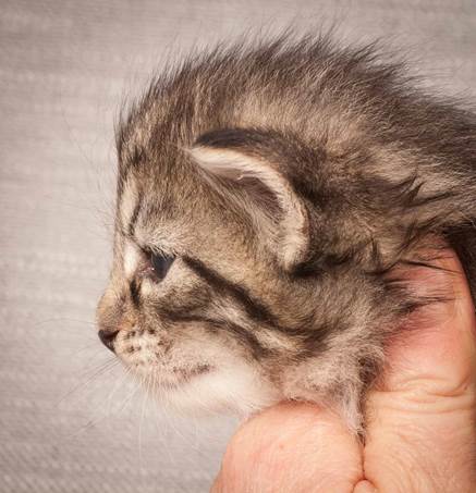 20130117_T-kull_3_weeks_0062