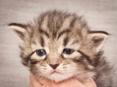 20130117_T-kull_3_weeks_0061