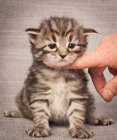 20130117_T-kull_3_weeks_0058