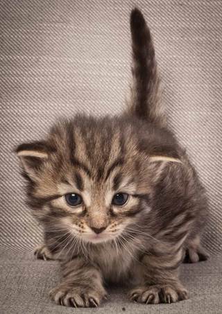 20130117_T-kull_3_weeks_0055