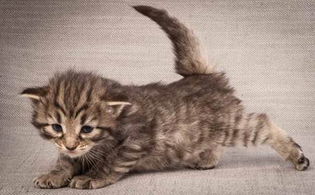 20130117_T-kull_3_weeks_0063