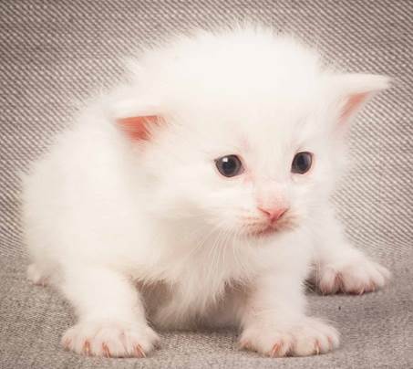 20130117_T-kull_3_weeks_0071