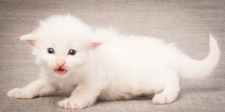 20130117_T-kull_3_weeks_0080