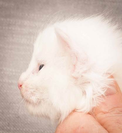 20130117_T-kull_3_weeks_0092