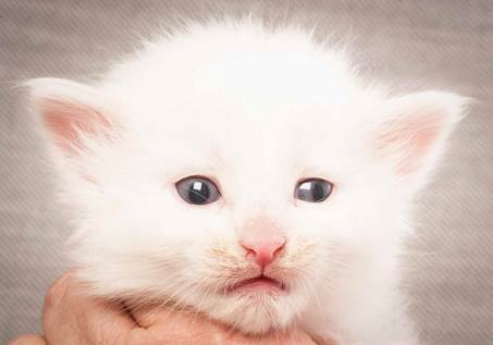 20130117_T-kull_3_weeks_0091