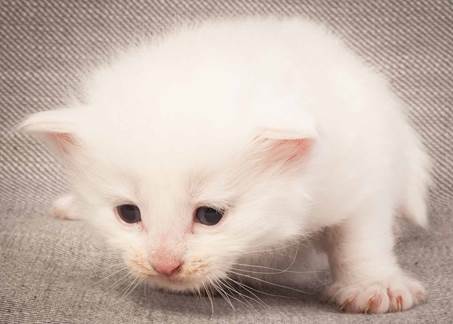 20130117_T-kull_3_weeks_0083