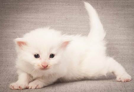 20130117_T-kull_3_weeks_0094