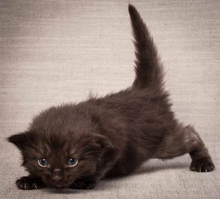 20130117_T-kull_3_weeks_0104