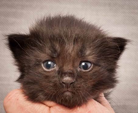 20130117_T-kull_3_weeks_0099